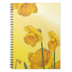 Gele Narcissus Daffodil Retro  Notitieboek