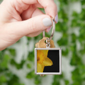 Gele Narcissussleutelhanger Sleutelhanger (Hand)