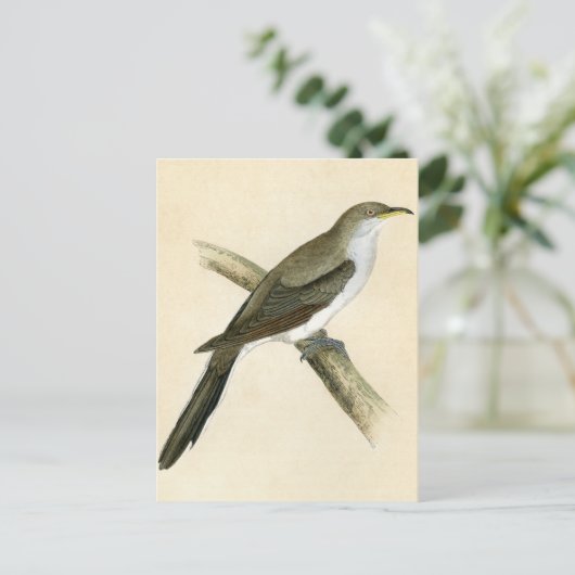 Gele navelkoekoek briefkaart (Staand voorkant)