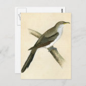 Gele navelkoekoek briefkaart (Voorkant / Achterkant)