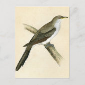 Gele navelkoekoek briefkaart (Voorkant)