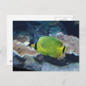 Gele neonvis briefkaart (Voorkant / Achterkant)