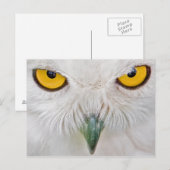 gele ogen uil briefkaart (Voorkant / Achterkant)