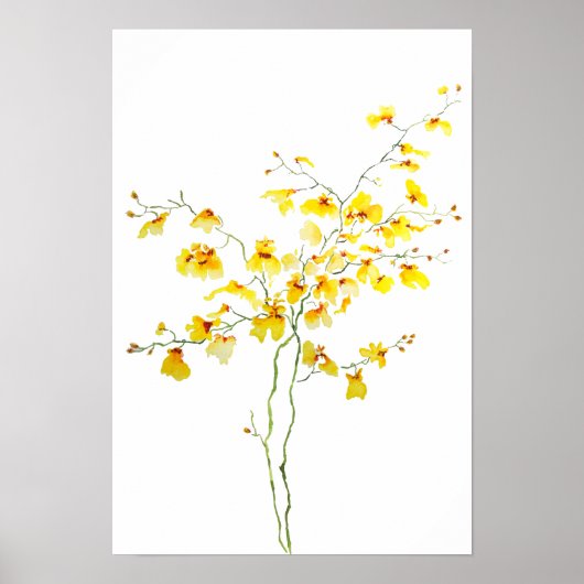 gele Oncidium Orchid waterverf Poster (Voorkant)