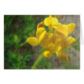  gele onkruid (Voorkant Horizontaal)