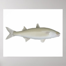 gele oogmullet poster