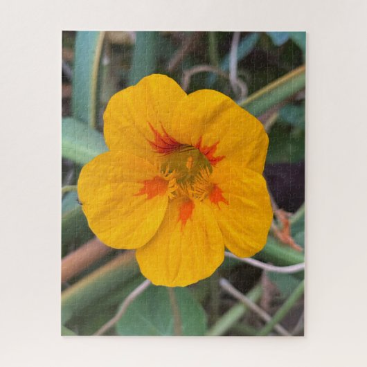 Gele Oost-Indische kers, San Francisco Legpuzzel (Verticaal)