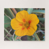 Gele Oost-Indische kers, San Francisco Legpuzzel (Horizontaal)