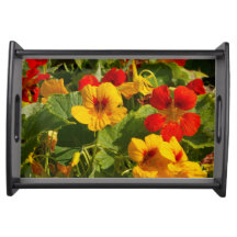Gele oranje bloemen, zwart, je eigen afbeelding