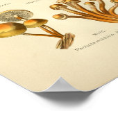 Gele Oranje paddenstoelen Kunst Afdrukken Frans Poster (Hoek)