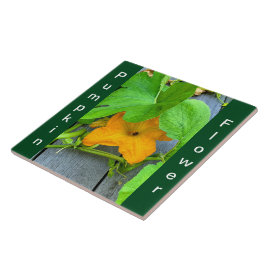 Gele Oranje pompoenbloem op wijnstok Tegeltje