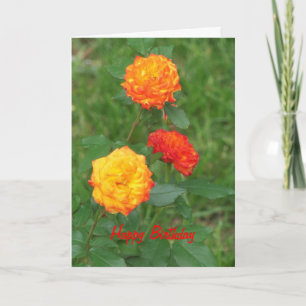 Gele & Oranje Rozen, Speciale Verjaardag Kaart