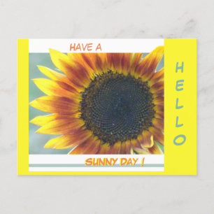 Gele Oranje zonnebloempitten. hallo Briefkaart