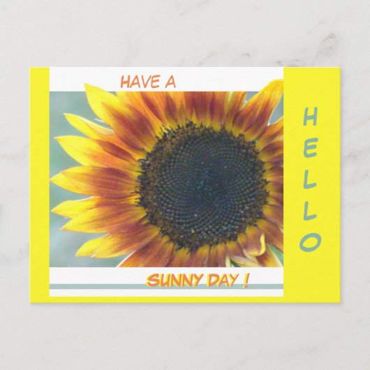 Gele Oranje zonnebloempitten. hallo Briefkaart (Voorkant)