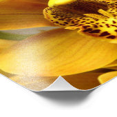 Gele Orchid Flowers Foto Afdruk (Hoek)