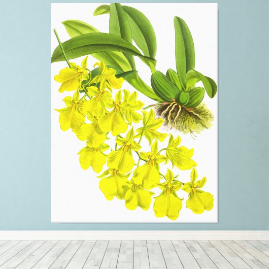  gele orchidebloem canvas afdruk (Insitu (Houten vloer))