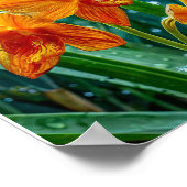 Gele orchidebloem poster (Hoek)