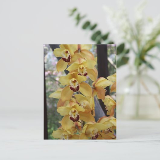 Gele orchidee briefkaart (Staand voorkant)