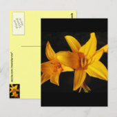 Gele orchidee briefkaart (Voorkant / Achterkant)