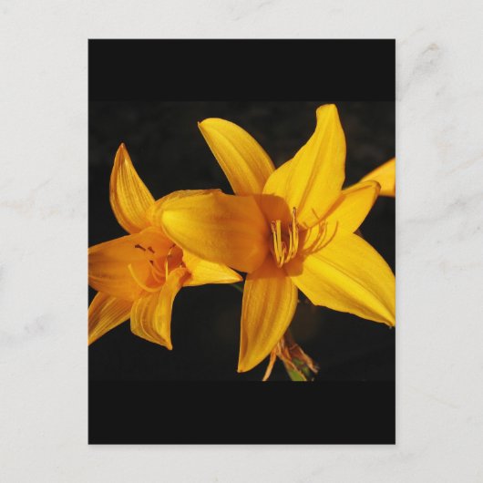 Gele orchidee briefkaart (Voorkant)