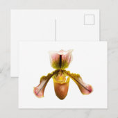 Gele orchidee briefkaart (Voorkant / Achterkant)