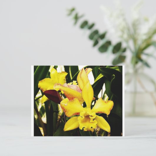 Gele orchidee briefkaart (Staand voorkant)