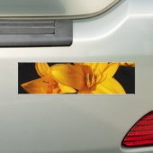 Gele orchidee Bumpersticker (Op auto)