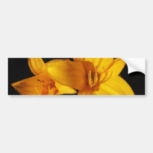 Gele orchidee Bumpersticker