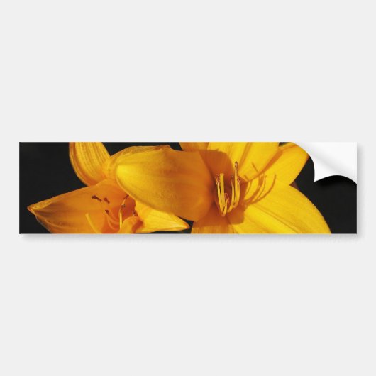 Gele orchidee Bumpersticker (Voorkant)