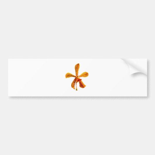 Gele orchidee bumpersticker (Voorkant)