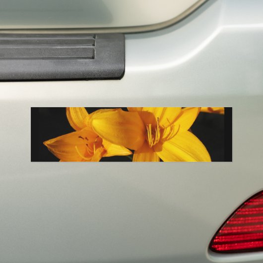 Gele orchidee bumpersticker (Op auto)