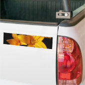 Gele orchidee bumpersticker (Op Truck)