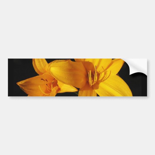 Gele orchidee bumpersticker (Voorkant)