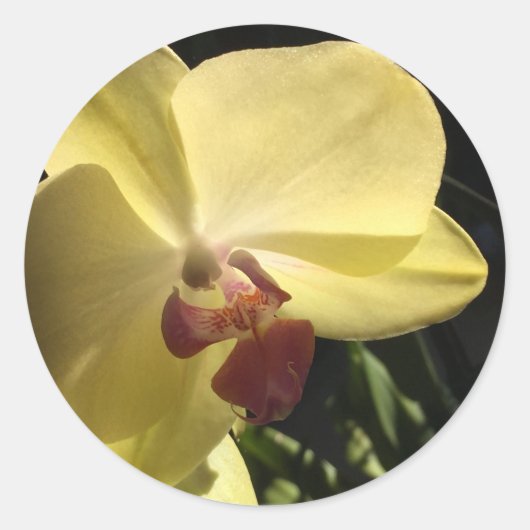 Gele orchidee Envelope Seal Sticker (Voorkant)