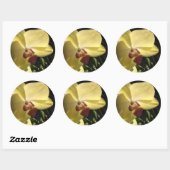 Gele orchidee Envelope Seal Sticker (Vel)