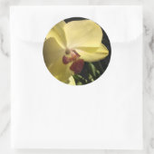 Gele orchidee Envelope Seal Sticker (Tas)