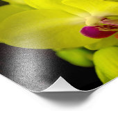 Gele Orchidee - Fotoprint Foto Afdruk (Hoek)