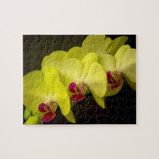 Gele Orchidee - Fotopuzzel Legpuzzel (Horizontaal)