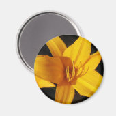 Gele orchidee magneet (Voorkant / Achterkant)