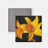 Gele orchidee magneet (Voorkant / Achterkant)