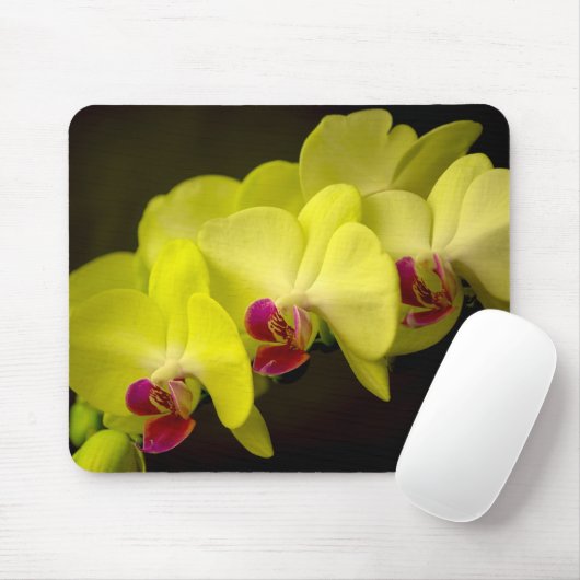 Gele Orchidee - Mousepad Muismat (Met muis)