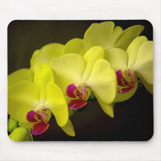 Gele Orchidee - Mousepad Muismat (Voorkant)