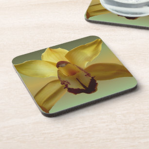 Gele orchidee onderzetters
