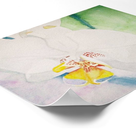 gele orchidee poster (Hoek)