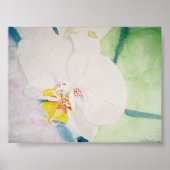gele orchidee poster (Voorkant)