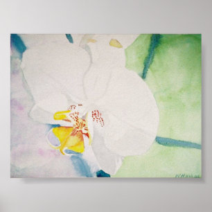 gele orchidee poster