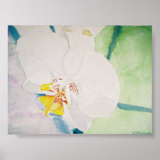 gele orchidee poster