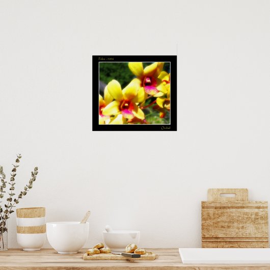 Gele orchidee poster (Keuken)