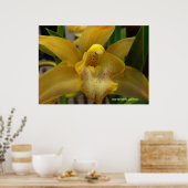 Gele orchidee poster (Keuken)