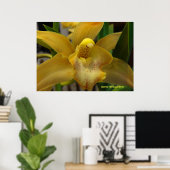 Gele orchidee poster (Thuiskantoor)